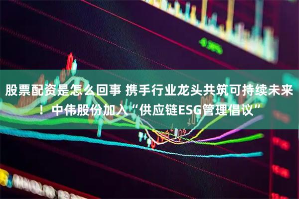 股票配资是怎么回事 携手行业龙头共筑可持续未来！中伟股份加入“供应链ESG管理倡议”